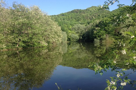 Tour image 5