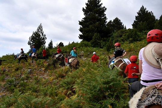 Tour image 1