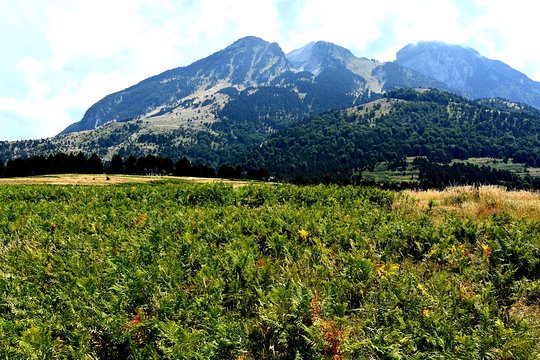 Tour image 7