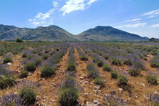 Tour image 5